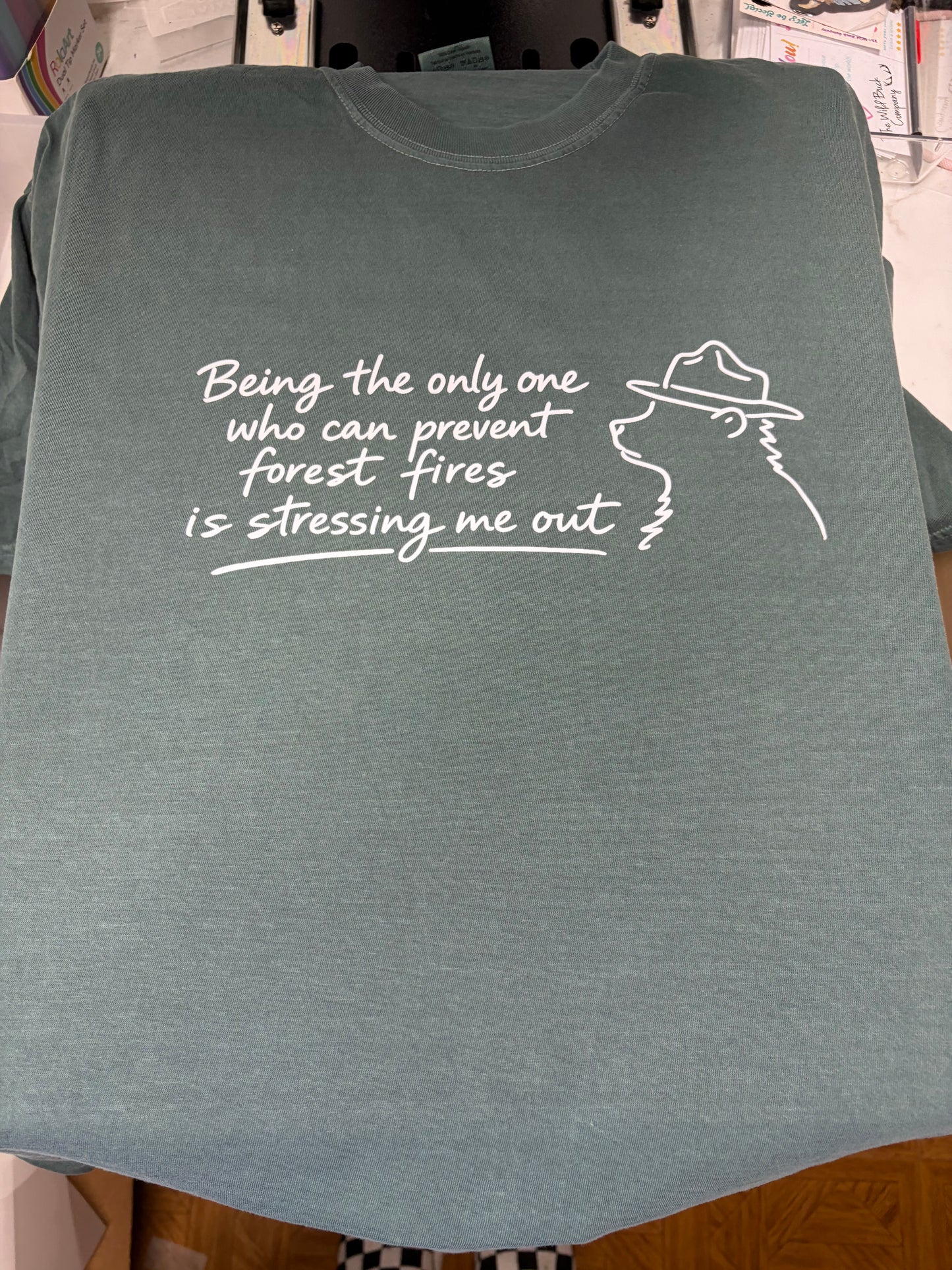 Forest Fires
