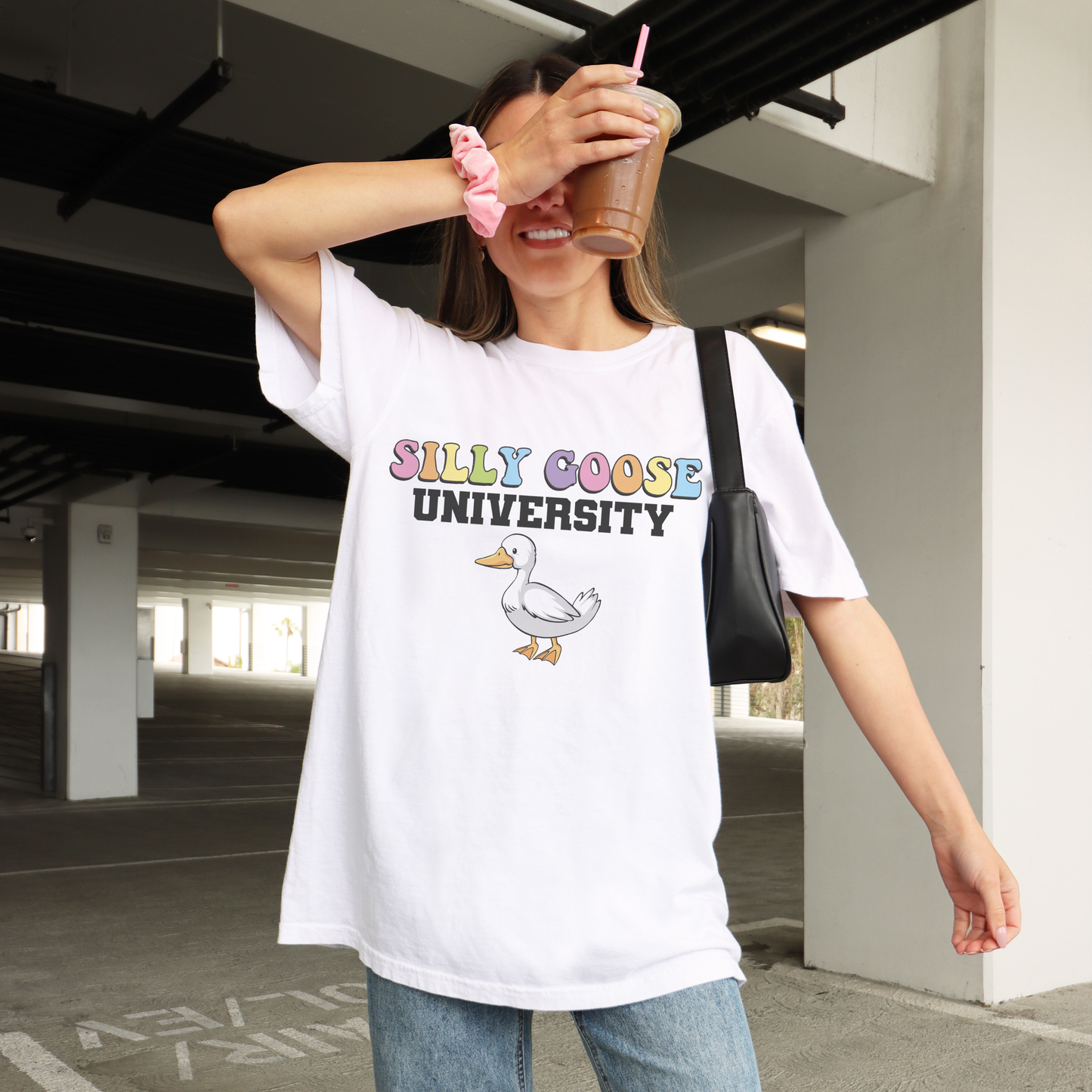 Silly Goose University