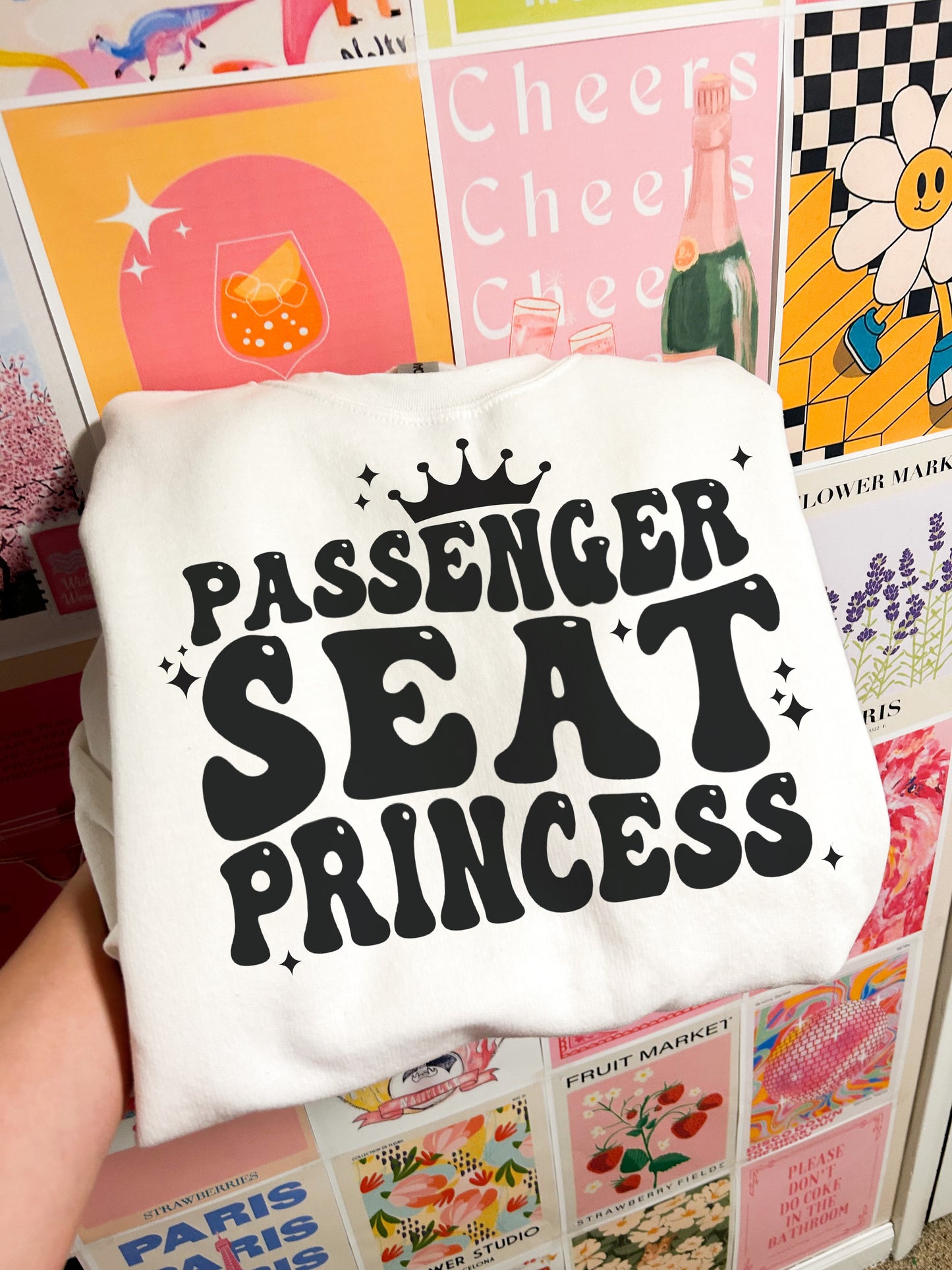 Passenger Seat Princess Sweatshirts