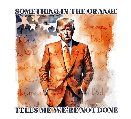 Something In The Orange PNG Download