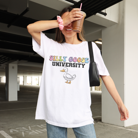 Silly Goose University